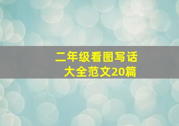 二年级看图写话大全范文20篇