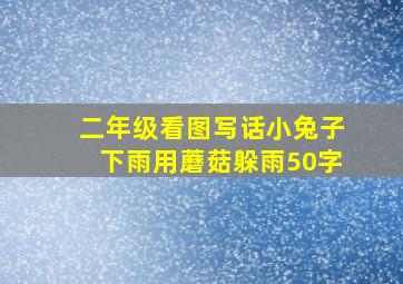 二年级看图写话小兔子下雨用蘑菇躲雨50字