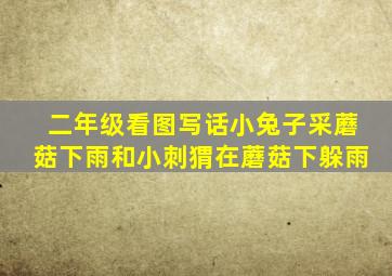 二年级看图写话小兔子采蘑菇下雨和小刺猬在蘑菇下躲雨