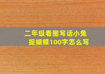 二年级看图写话小兔捉蝴蝶100字怎么写