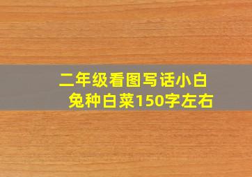 二年级看图写话小白兔种白菜150字左右