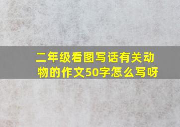 二年级看图写话有关动物的作文50字怎么写呀