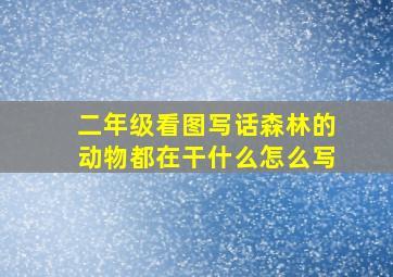 二年级看图写话森林的动物都在干什么怎么写