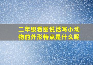 二年级看图说话写小动物的外形特点是什么呢