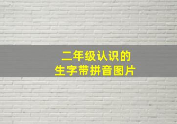 二年级认识的生字带拼音图片