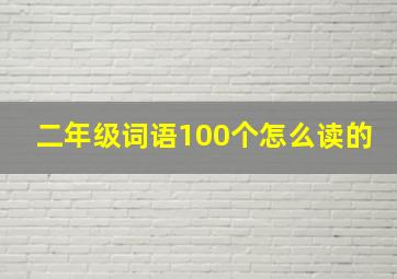 二年级词语100个怎么读的