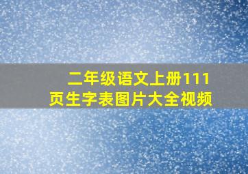 二年级语文上册111页生字表图片大全视频