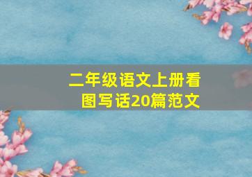 二年级语文上册看图写话20篇范文