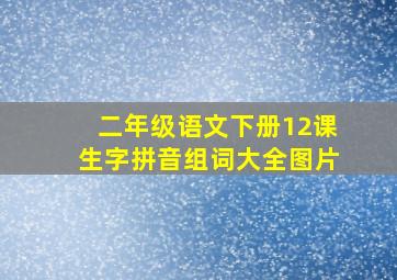 二年级语文下册12课生字拼音组词大全图片