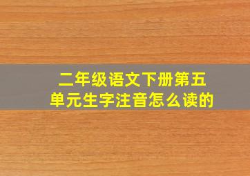 二年级语文下册第五单元生字注音怎么读的