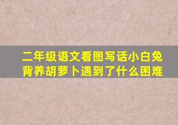 二年级语文看图写话小白兔背养胡萝卜遇到了什么困难