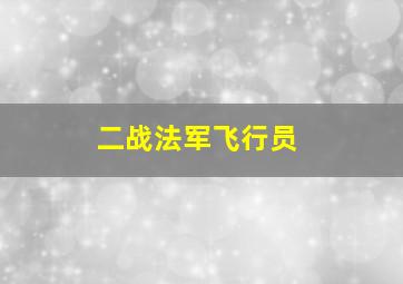 二战法军飞行员