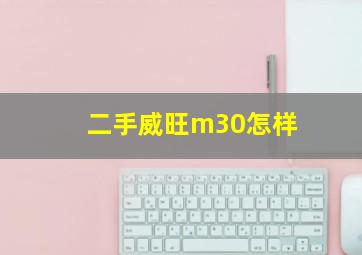 二手威旺m30怎样