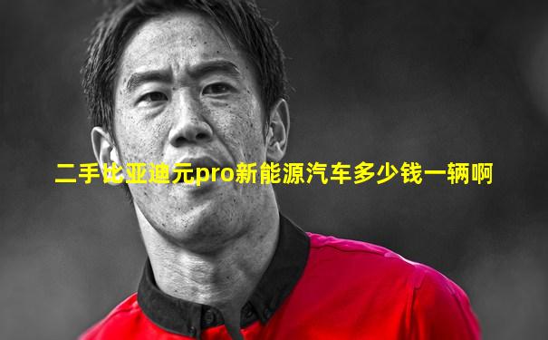二手比亚迪元pro新能源汽车多少钱一辆啊