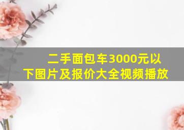 二手面包车3000元以下图片及报价大全视频播放