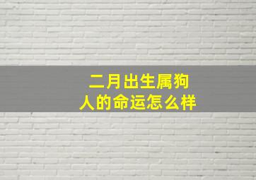 二月出生属狗人的命运怎么样