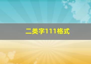 二类字111格式