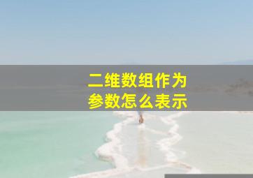 二维数组作为参数怎么表示