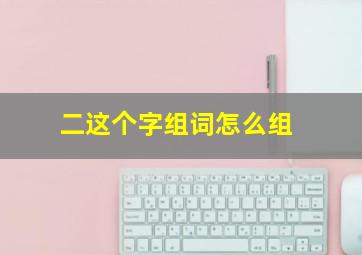 二这个字组词怎么组