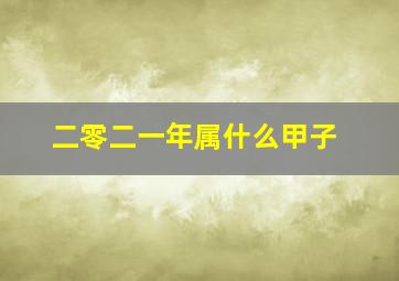 二零二一年属什么甲子