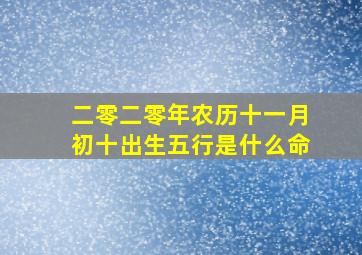 二零二零年农历十一月初十出生五行是什么命