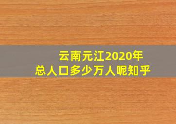 云南元江2020年总人口多少万人呢知乎