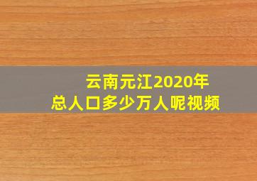 云南元江2020年总人口多少万人呢视频