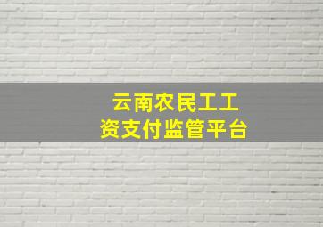 云南农民工工资支付监管平台