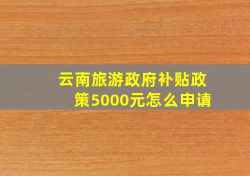 云南旅游政府补贴政策5000元怎么申请