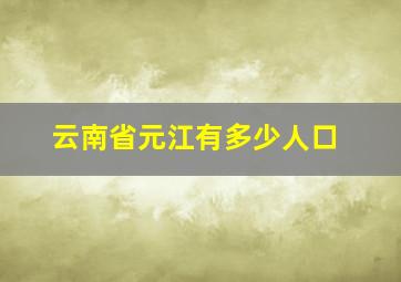 云南省元江有多少人口