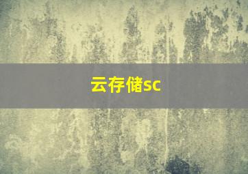 云存储sc