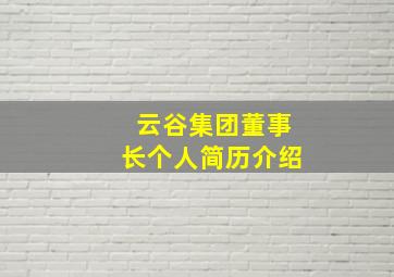 云谷集团董事长个人简历介绍