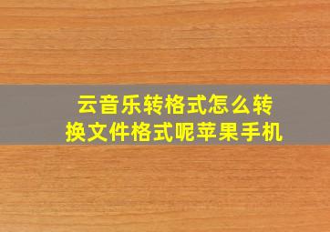 云音乐转格式怎么转换文件格式呢苹果手机