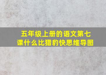 五年级上册的语文第七课什么比猎豹快思维导图