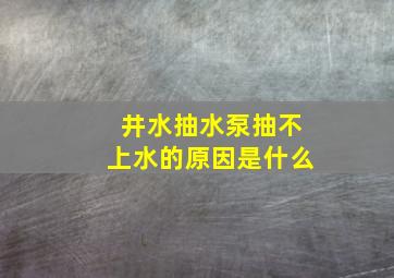 井水抽水泵抽不上水的原因是什么