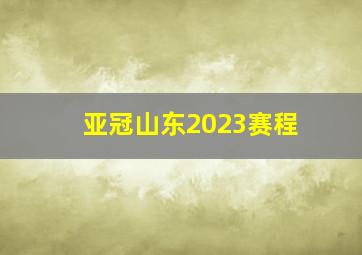 亚冠山东2023赛程