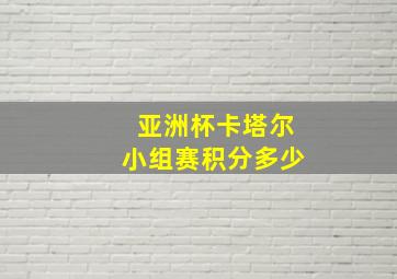 亚洲杯卡塔尔小组赛积分多少