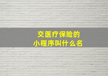 交医疗保险的小程序叫什么名