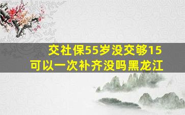 交社保55岁没交够15可以一次补齐没吗黑龙江