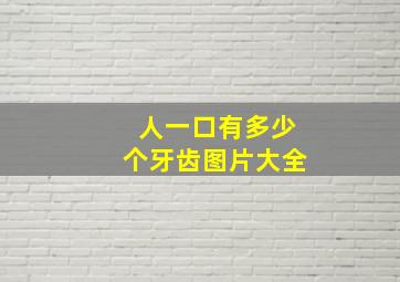 人一口有多少个牙齿图片大全