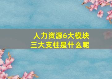 人力资源6大模块三大支柱是什么呢