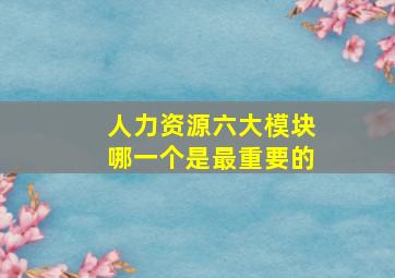 人力资源六大模块哪一个是最重要的