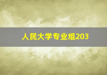 人民大学专业组203