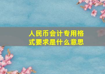 人民币会计专用格式要求是什么意思