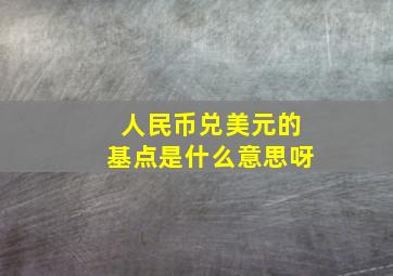 人民币兑美元的基点是什么意思呀