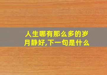 人生哪有那么多的岁月静好,下一句是什么