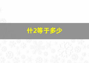 什2等于多少