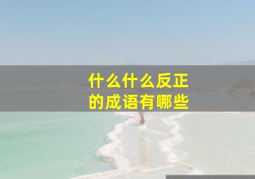 什么什么反正的成语有哪些