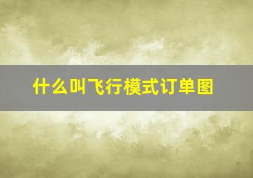 什么叫飞行模式订单图