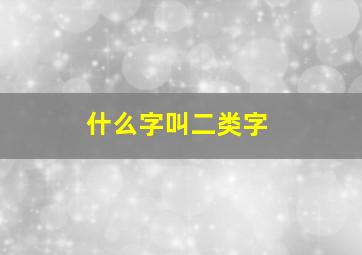 什么字叫二类字